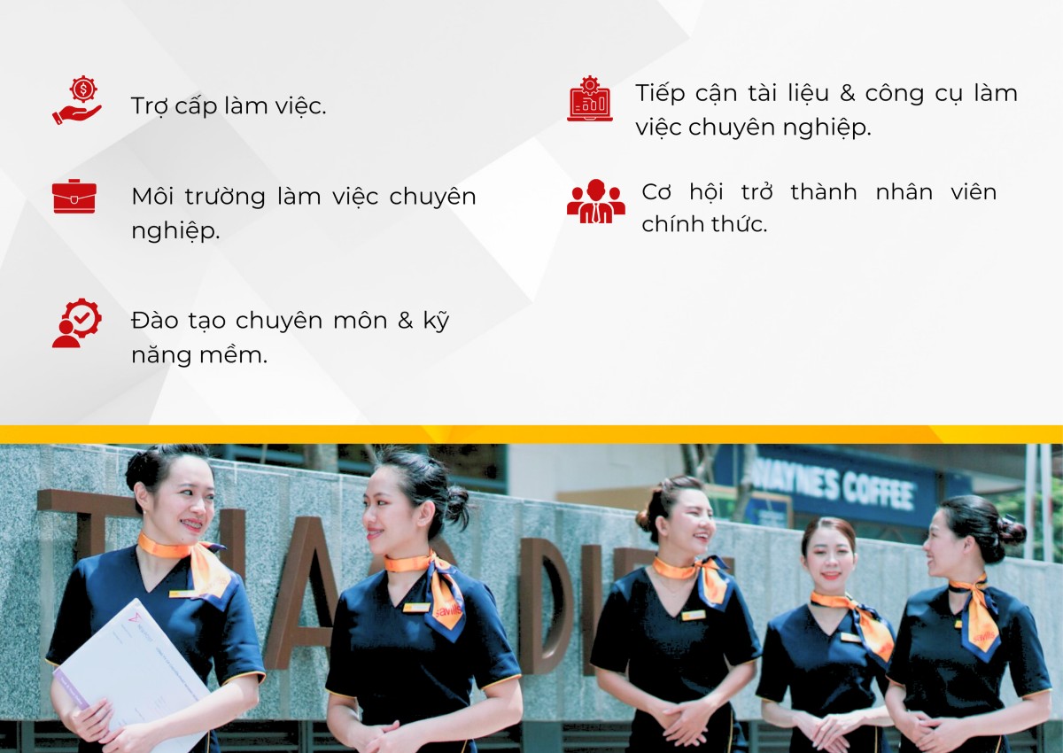 Savills nhân viên sơ cấp