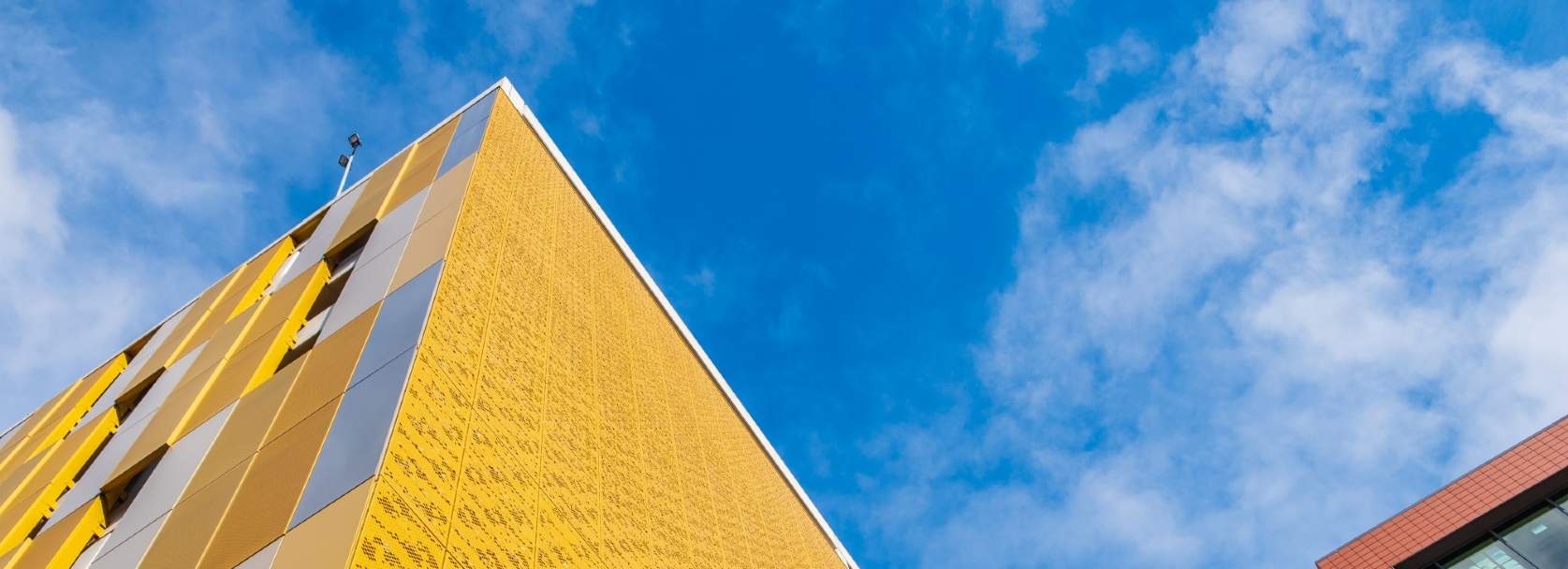 tuyển dụng savills việt nam