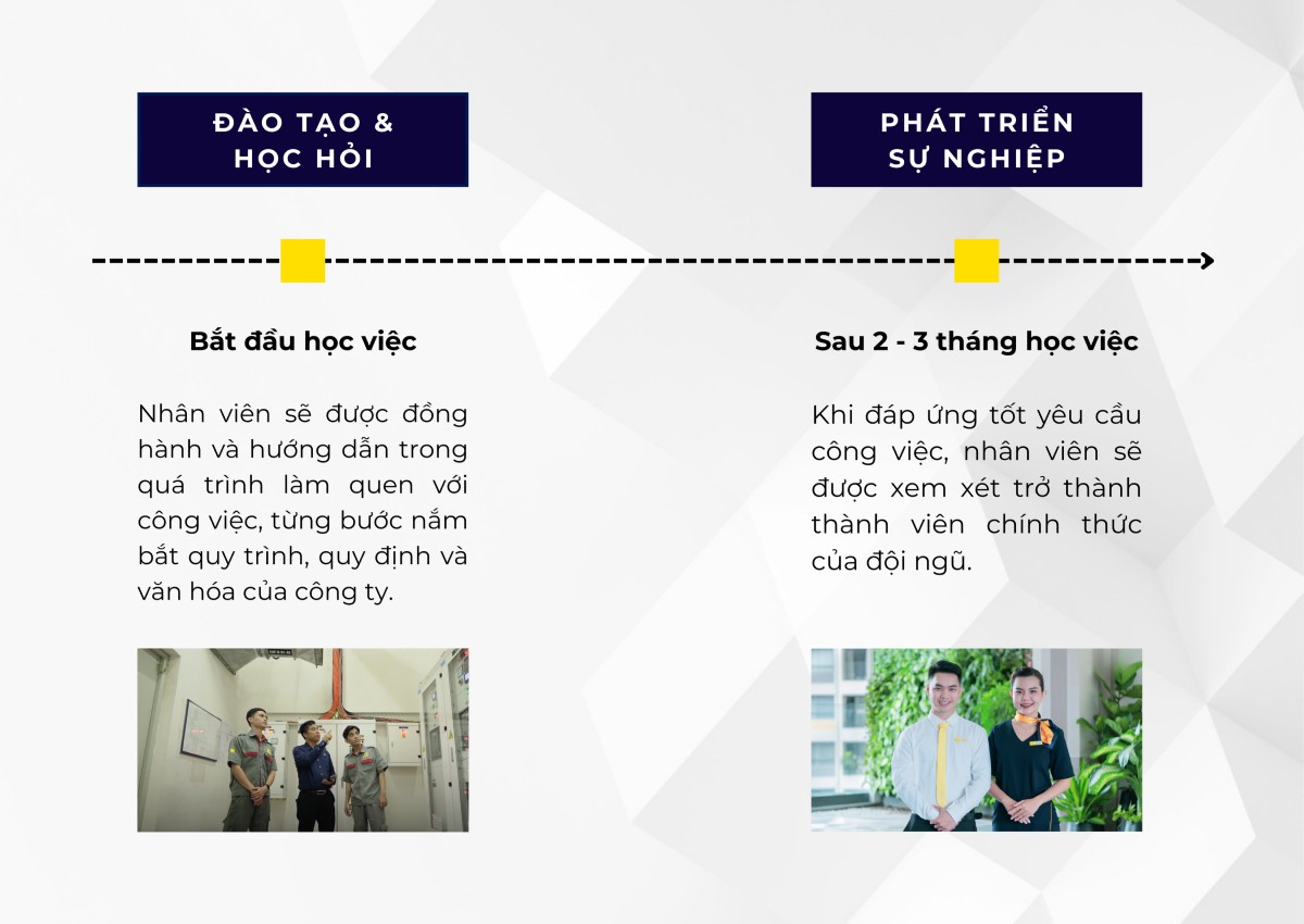savills việt nam tuyển dụng sinh viên mới ra trường
